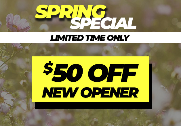 Spring Special